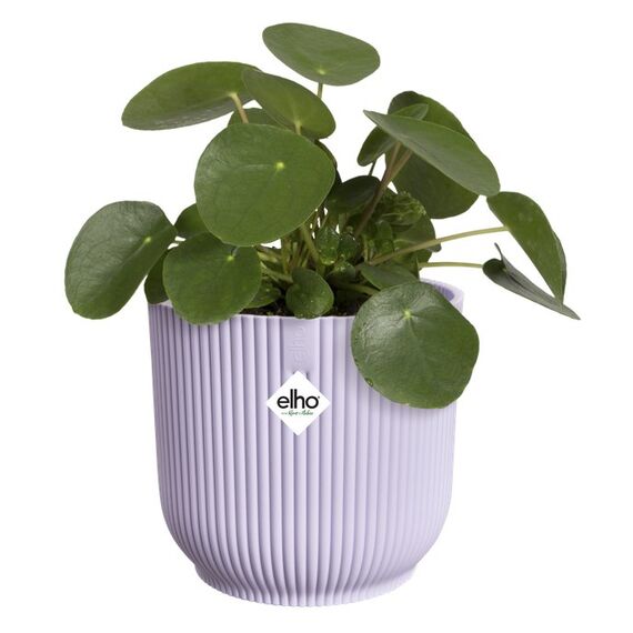 elho vibes fold rund 16cm zartes Lila, Farbe: Lila, 3 image