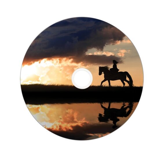 Verbatim 43667 DVD-Rohling 8,5 GB DVD+R DL 25 Stück(e), 3 image