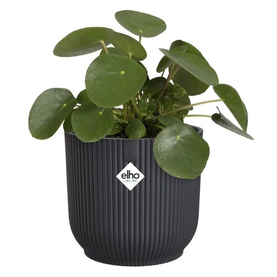 elho vibes fold rund 18cm anthrazit, Farbe: Anthrazit, 3 image