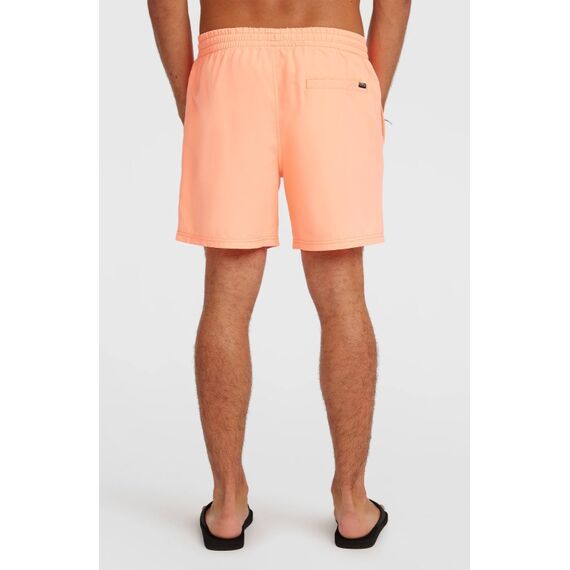 O'Neill Logo 16'' Badeshorts Gelb, 4 image