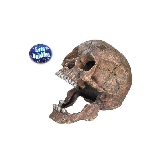 Nobby Totenkopf