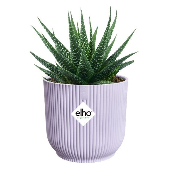 elho vibes fold rund mini 9cm zartes Lila, Farbe: Lila, 2 image