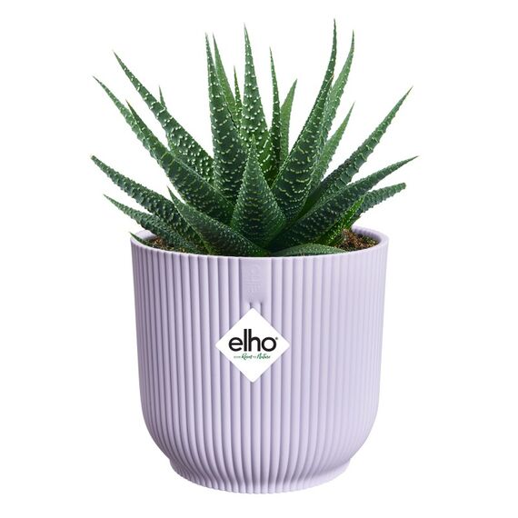 elho vibes fold rund mini 11cm zartes Lila, Farbe: Lila, 2 image