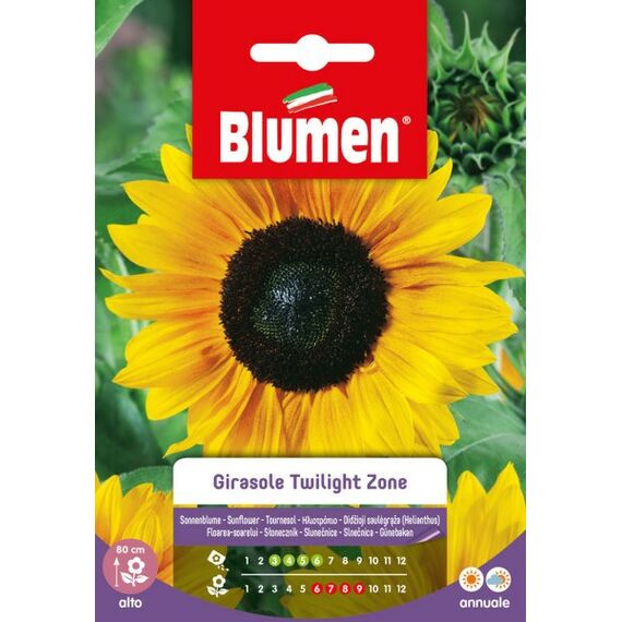 Blumen Sonnenblume Twilight Zone Blumensamen ein- und mehrjährig