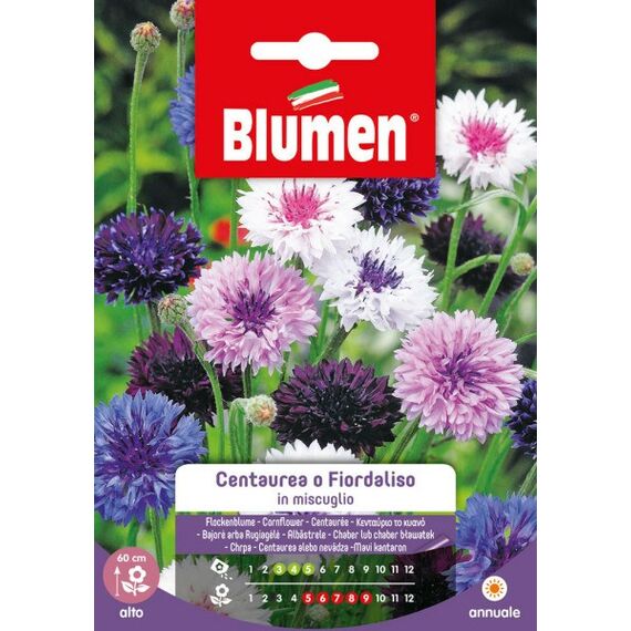 Blumen Kornblume Mix Blumensamen ein- und mehrjährig