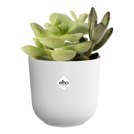 elho jazz rund mini 11cm seidenweiß, Farbe: Weiß, 2 image