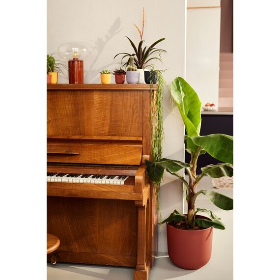 elho jazz rund mini 11cm toskanisches rot, Farbe: Rot, 3 image