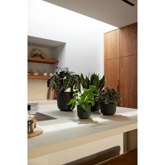 elho jazz rund 14cm living schwarz, 4 image