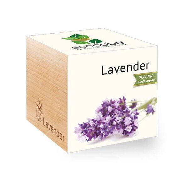 Feel Green 299290 Blumensamen/-zwiebel Lavendel
