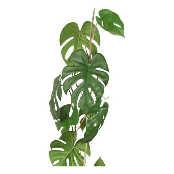Botanic-Haus 303311 Künstliche Pflanze Drinnen Künstliche nicht blühende Pflanze, 2 image