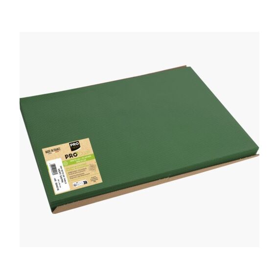 PRONAPPE 304018I Platzdeckchen Rechteck Grün 500 Stück(e), Farbe: Grün, 3 image