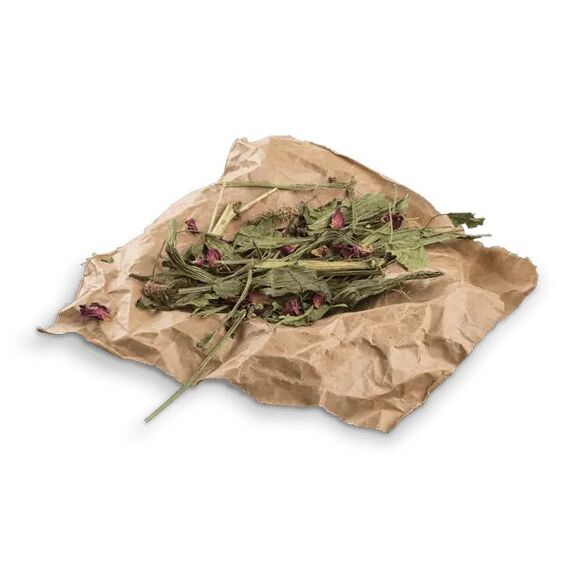 Bunny Nature BOTANICALS MID MIX MIX AUS SPITZWEGERICH & ROSENBLÜTEN
