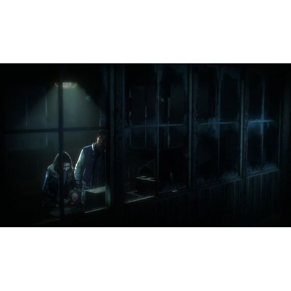 Sony Interactive Entertainment Until Dawn Standard Mehrsprachig PlayStation 4, 3 image