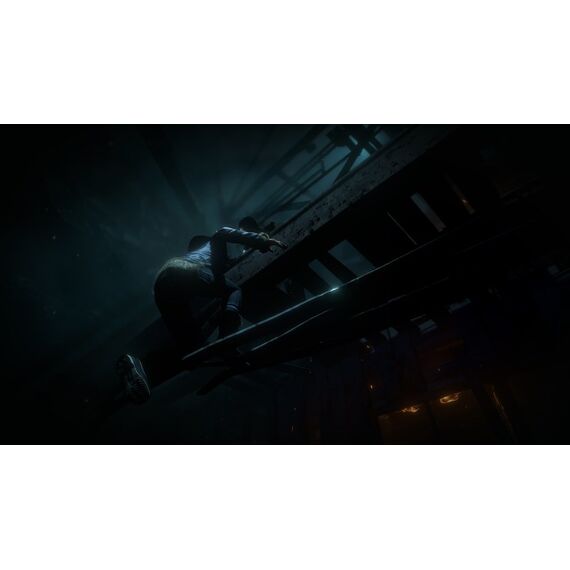 Sony Interactive Entertainment Until Dawn Standard Mehrsprachig PlayStation 4, 4 image