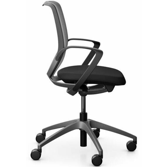 Giroflex 313 Gepolsterter Sitz Netz-Rückenlehne, 3 image