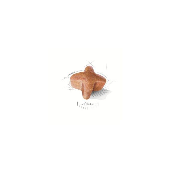 Royal Canin German Shepherd Adult 11 kg Reis, Gemüse, 2 image