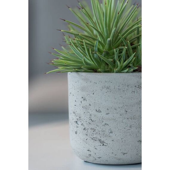 Pottery Pots Charlie Drinnen/Draußen Topfpflanzer Freistehend Ton Grau, Farbe: Grau, 5 image