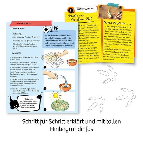 Kosmos Fun Science Triops züchten Erlebe die Krebse aus der Urzeit!, 4 image