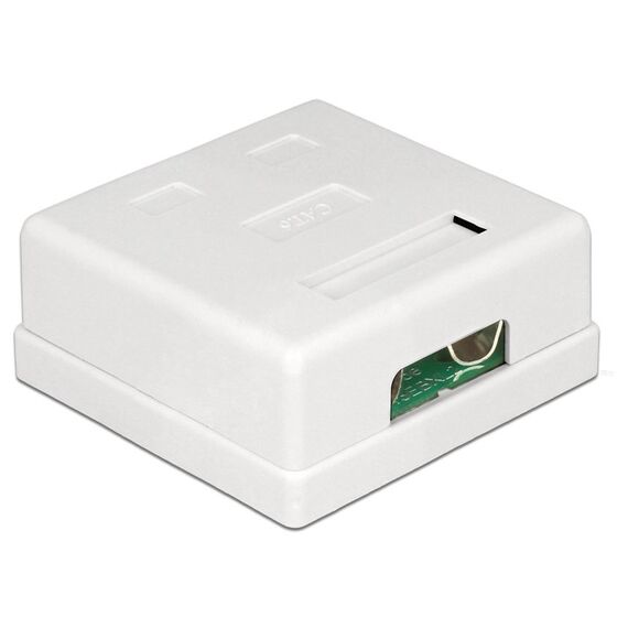DeLOCK 86269 Steckdose RJ-45 Weiß