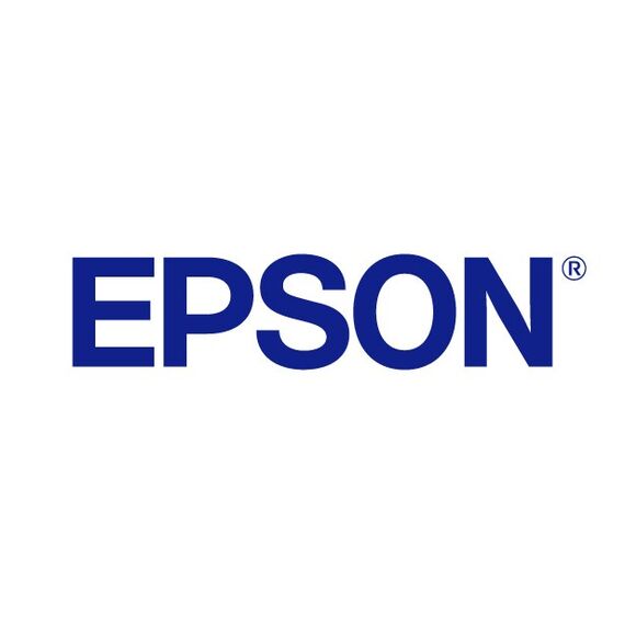 Epson Singlepack Light Light Black T580900