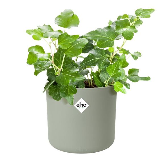 elho b.for soft rund 14cm steingrün, 2 image