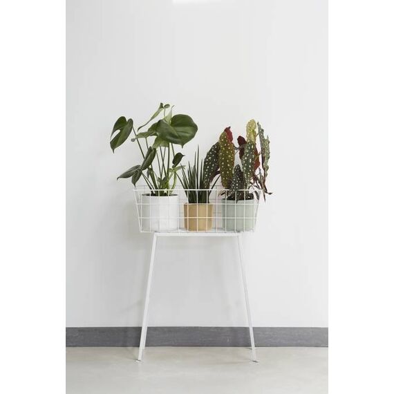 elho b.for soft rund 16cm steingrün, Farbe: Grün, 3 image