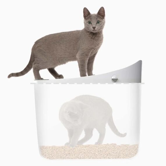 Catit 44081 Hunde-/Katzentoilette Katze Katzenklo mit Eingang von oben Grau, Weiß, 3 image
