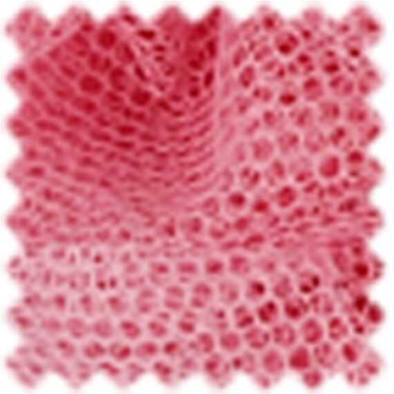 Creativ Company 44613 Geschenkverpackung Geschenkpapier Polyester