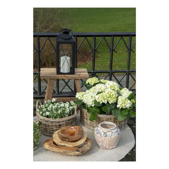 House Nordic 4501012 Speiseschüssel Obstschale Rund Teak Holz, 4 image