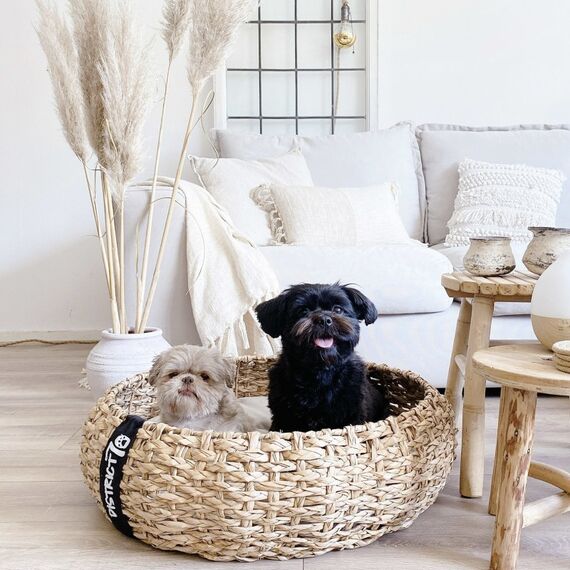 District 70 4630 Hunde-/Katzenbett Korb Haustierbett, 4 image