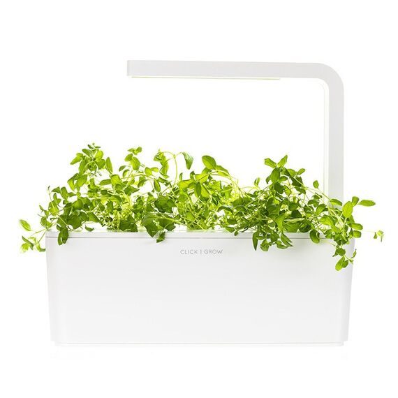 Click & Grow 4742793006710 Wachstums-Set & Nachfüller 3 Stück(e) Oregano Nachfüllen