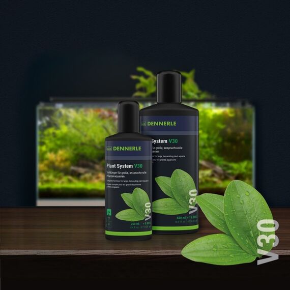 Dennerle Plant System V30, 250 ml, 2 image