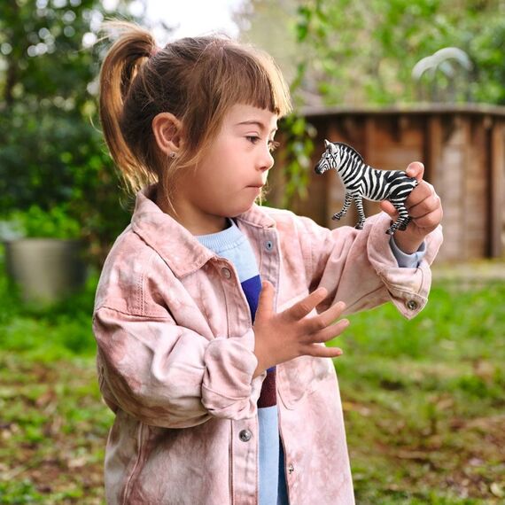 schleich WILD LIFE Zebra Stute