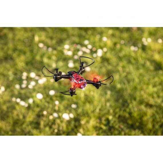 Carson X4 Quadcopter Angry Bug 2.0 4 Rotoren Quadrocopter 300 mAh Schwarz, Rot, 4 image