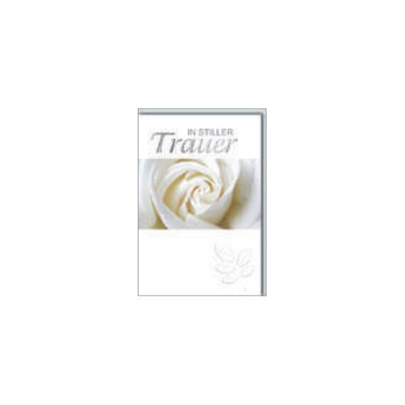 Braun + Company 5106-22336 Geschenkverpackung Geschenk-Umschlag