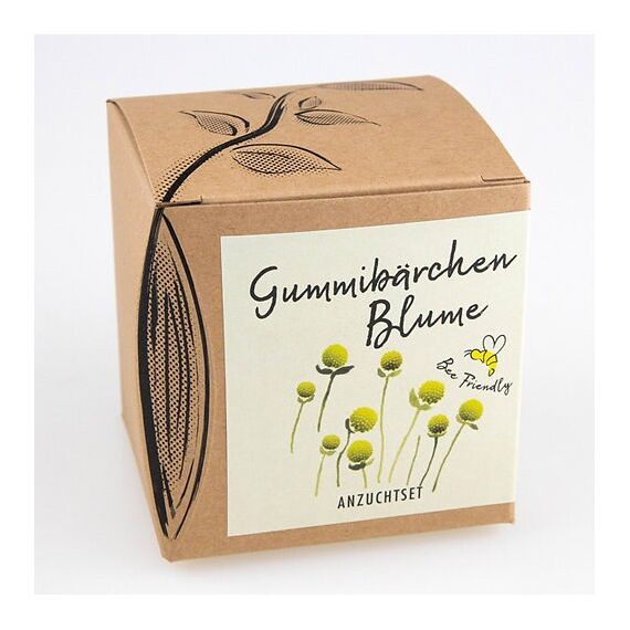 Naturkraftwerke Gummibärchenblume ein- und mehrjährig