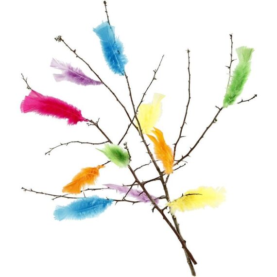 Creativ Company 518460 Feder Mehrfarbig, 4 image