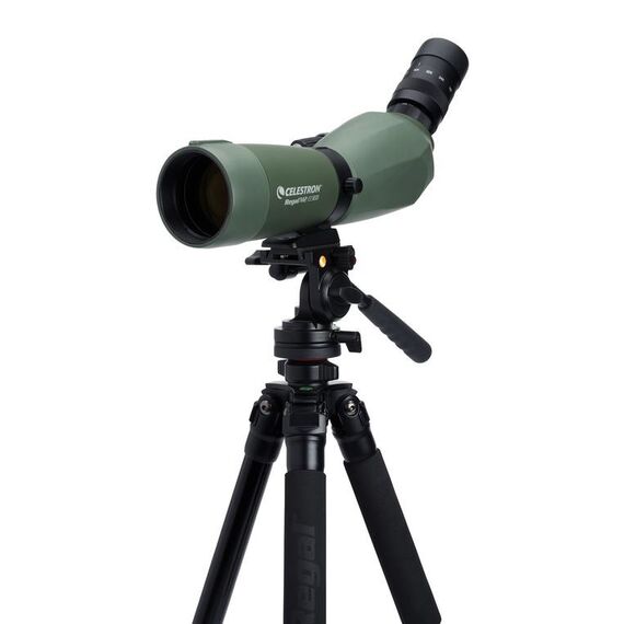 Celestron Regal M2 65ED Spektiv 48x BaK-4 Schwarz, Grün, 5 image