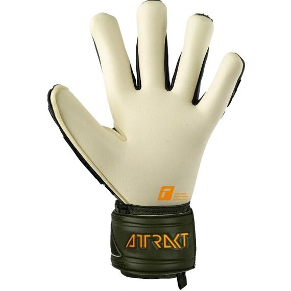 Reusch Attrakt Freegel Gold X, 2 image