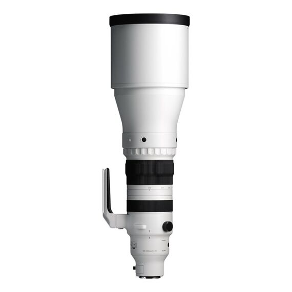 Sigma 300-600mm f / 4.0 DG OS L CH-Garantie