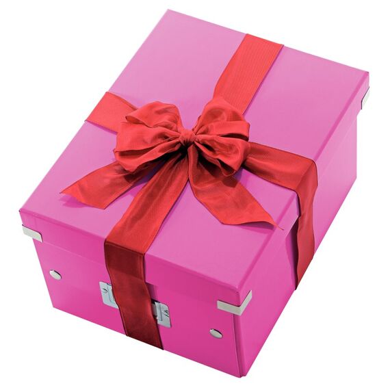 Leitz Click & Store Aufbewahrungs, Farbe: Pink, 3 image