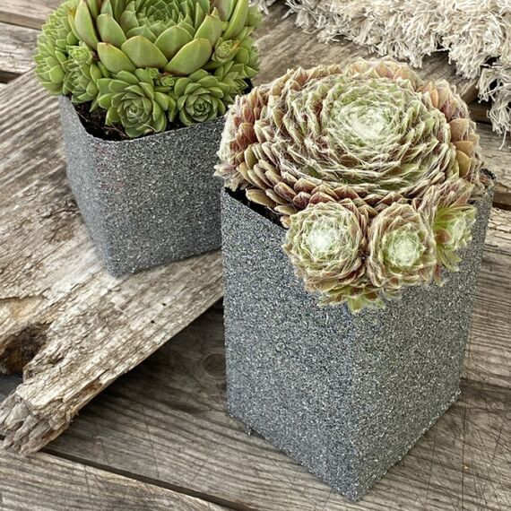 Dupli-Color Granite Look Sprühfarbe 400 ml 1 Stück(e), 3 image