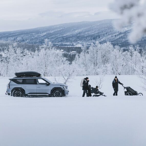 Thule Motion 3 XXL Harte Autodachoberseite Titan, Farbe: Titan, 7 image