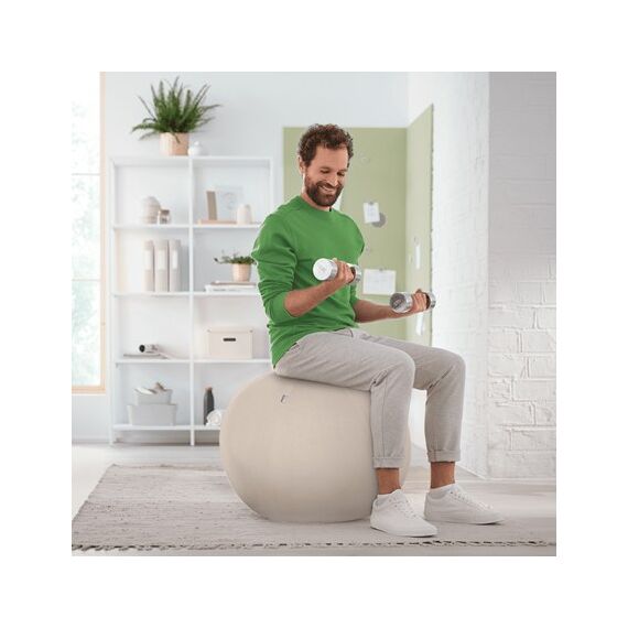 Leitz Ergo Grau Drinnen Sphärisch, 5 image