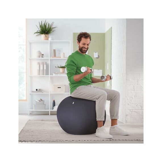 Leitz Ergo Grau Drinnen Sphärisch, 5 image