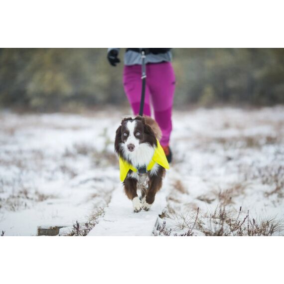 Icepeak 70403564_505_XL Kleidung für Hunde & Katzen XL Gelb Polyester Hund Regenjacke, Farbe: Gelb, Größe: XL, 6 image