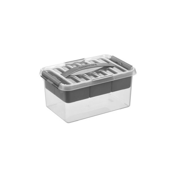 Sigma home 79200409 Aufbewahrungsbox Rechteckig Metallisch, Transparent, Farbe: Metallisch, Transparent