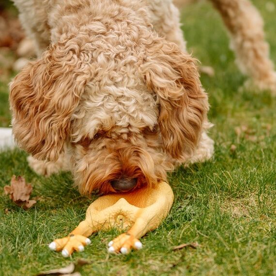 Nobby 79460 Hunde-/Katzenspielzeug, 4 image