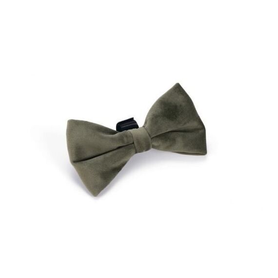 Designed by Lotte Zaza Grün Samt, Polyester Hund Standardkragen
