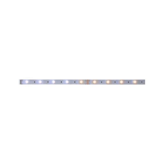 Paulmann LED Stripe MaxLED 250 1m EXT 3.5W, Tunable White 2700-6500K, 270lm